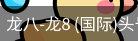龙8
